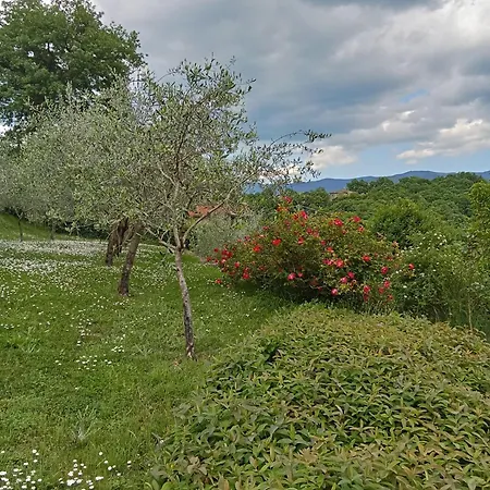 Apartamento Torre Del Drago Borgo alla Collina