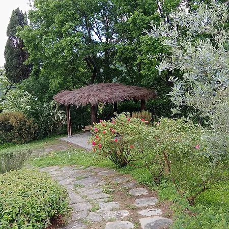 Torre Del Drago Borgo alla Collina